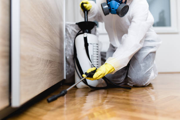 Best Exterminator Services  in Roanoke Rapids, NC