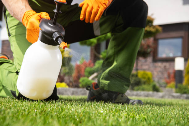 Best Local Pest Control Services  in Roanoke Rapids, NC