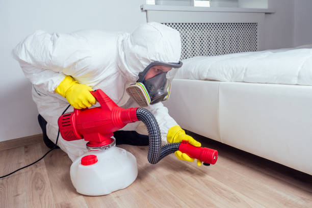 Best Best Pest Control Companies  in Roanoke Rapids, NC