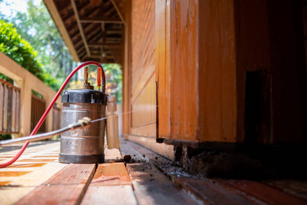 Best Best Pest Control Companies  in Roanoke Rapids, NC