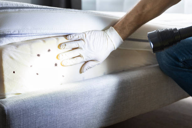  Roanoke Rapids, NC Pest Control Pros