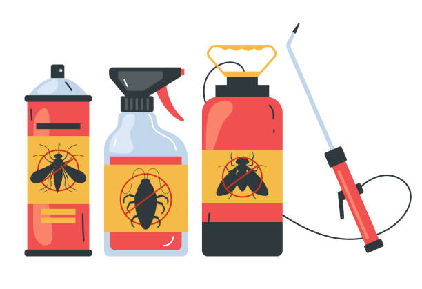 Best Exterminator Services  in Roanoke Rapids, NC