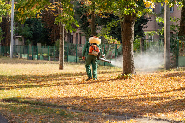 Best Rat Extermination Near Me  in Roanoke Rapids, NC