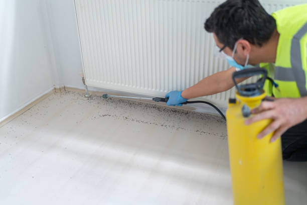 Best Ant Control Services  in Roanoke Rapids, NC