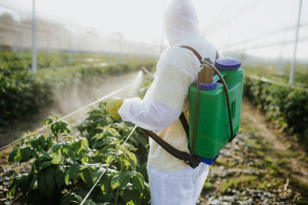Best Pest Control Near Me in Roanoke Rapids, NC